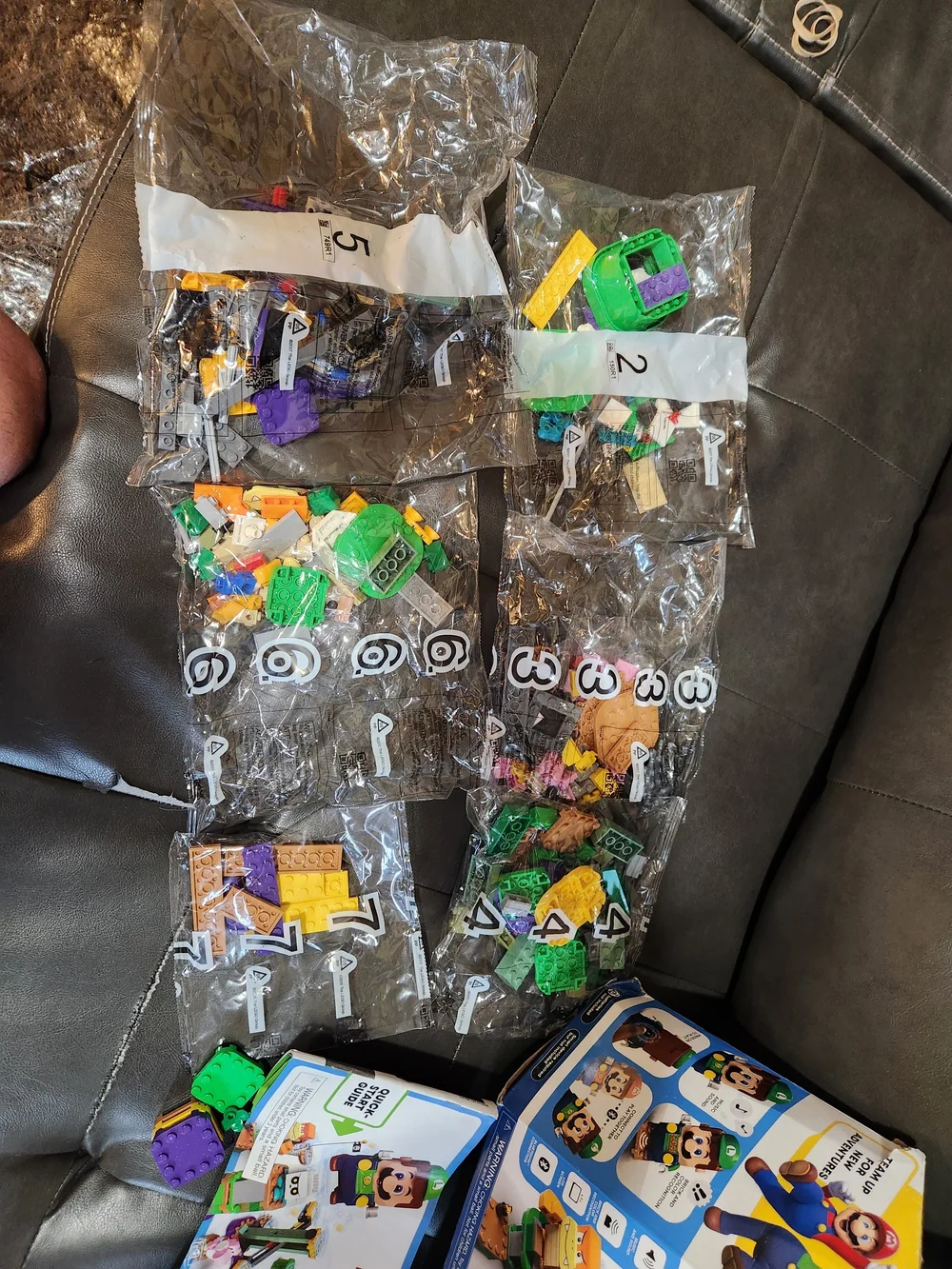 LEGO Super Mario Luigi Starter Course - Green Playset Missing Bag #1 Luigi